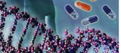 analise-de-dna-araruama-1371129018