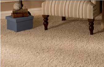 Cardan Carpetes - Foto 1