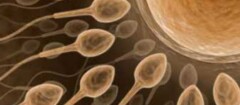 clinicas-de-fertilizacao-humana-araruama-1371130242