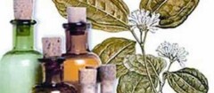 farmacias-de-homeopatia-araruama-1371132325