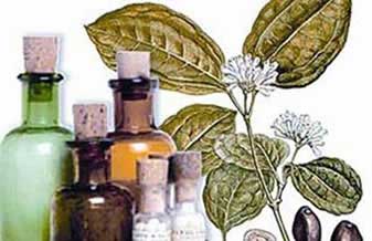 Farmácia Homeopática Natipharma - Foto 1