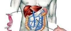 gastroenterologia-araruama-1371145153