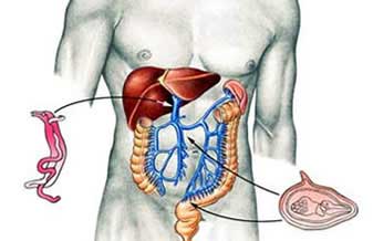 Fabiano Louback da Silva - Foto 1