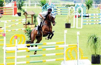 Haras Serdan - Foto 1