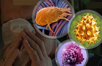 Clínica de Alergia Climos - Foto 1
