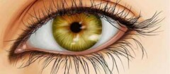 iridologia-araruama-1371149020