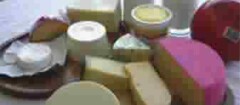 laticinios-araruama-1370870950
