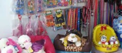 petshop-araruama-1370889922