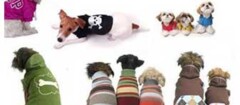 roupas-para-cachorro-araruama-1370890417