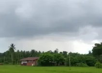 Araruama chuva rápida