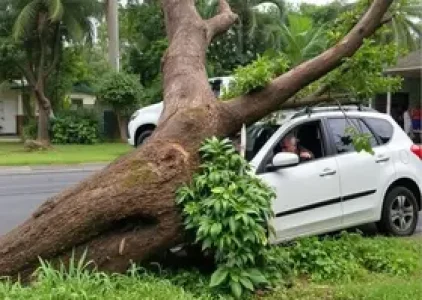 Últimas noticias de Araruama