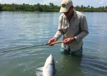 Últimas noticias de Araruama