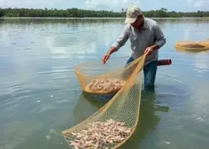 Últimas noticias de Araruama