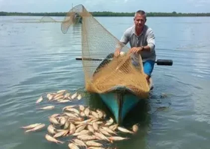 Últimas noticias de Araruama