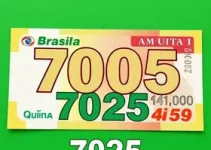 Quina 7025