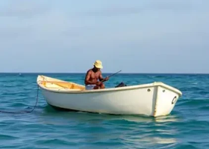 Últimas noticias de Araruama