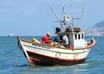 Ministério da Pesca