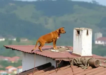 Últimas noticias de Araruama