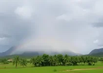 previsão do tempo