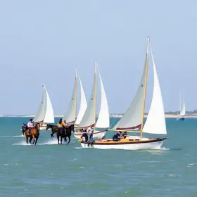 Regata Cavalos-Marinhos