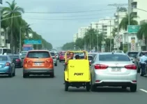 ViaLagos