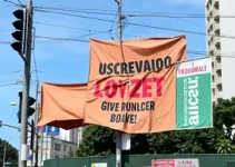 ação de ordenamento