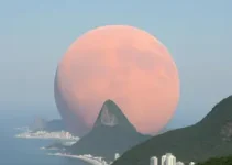 vida em Marte