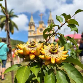 Festival do Maracujá
