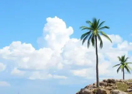 Últimas noticias de Araruama