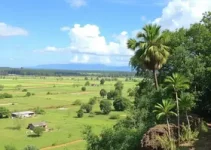 clima em Araruama