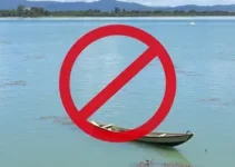 Defeso do Peixe