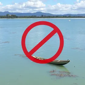 Defeso do Peixe