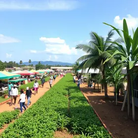 Expo Agro Araruama
