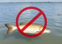 Pesca proibida na Lagoa de Araruama