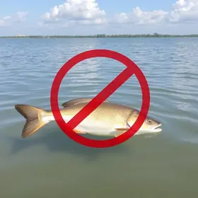 Pesca proibida na Lagoa de Araruama