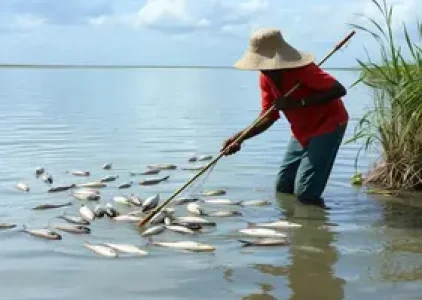 Últimas noticias de Araruama