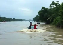 cordão humano