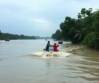 cordão humano