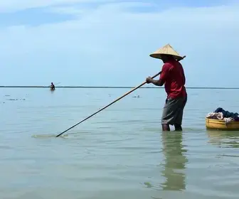 defeso na Laguna de Araruama