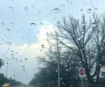 clima em São Carlos