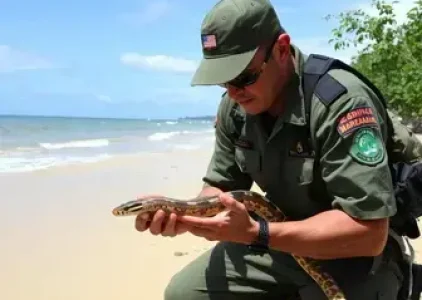 Últimas noticias de Araruama